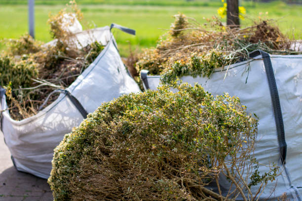 Best Trash Removal Near Me  in Moorhead, MN